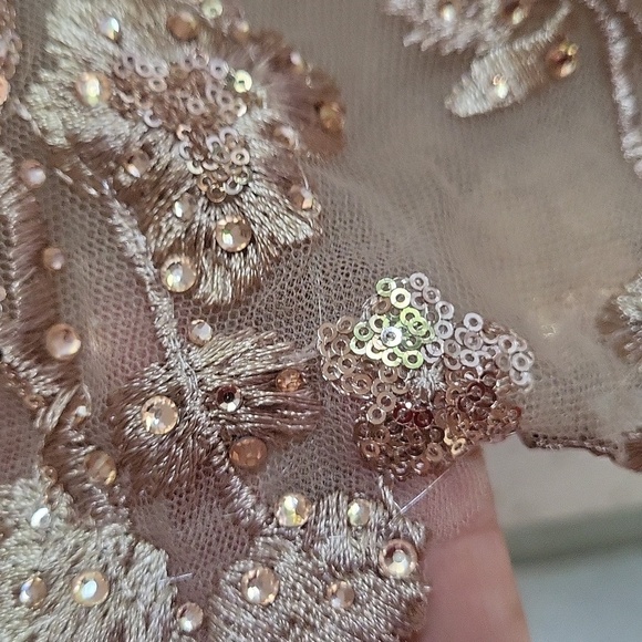 Mac Duggal 20392 Embellished Butterfly Fit size 2 gown Taupe NWT - Picture 7 of 9